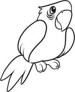 248x302 Coloring Pages Attractive Parrot Drawing Hjr How To Draw A