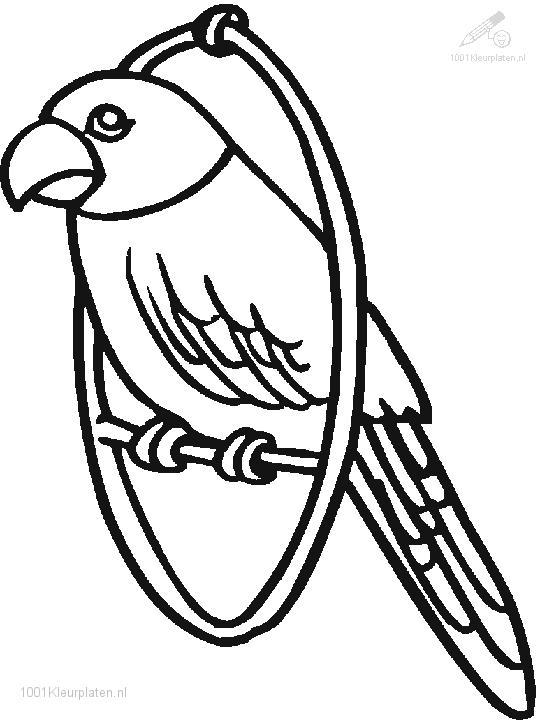 540x720 Parrot Coloring Pages