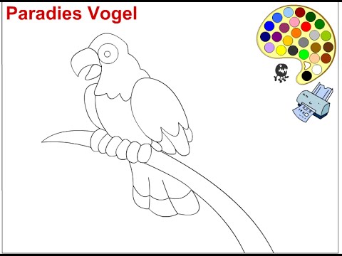 480x360 Parrot Coloring Pages For Kids