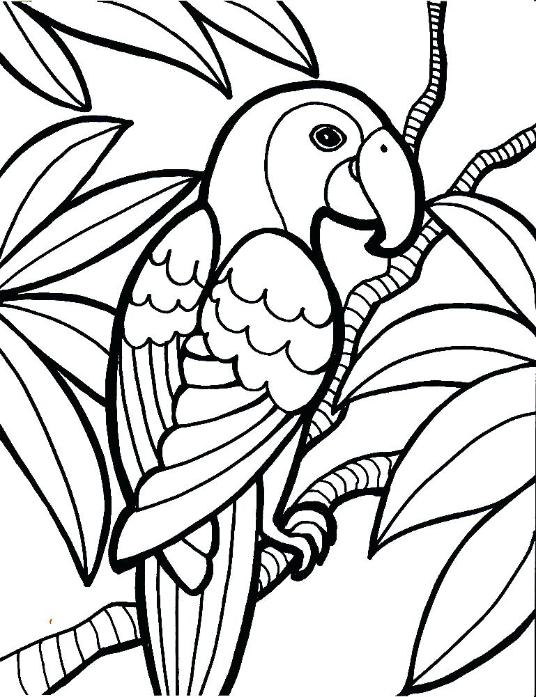 769x1001 Parrot Picture To Color Water Color Parrot Drawing Media