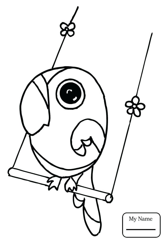 685x1012 Coloring Pages Of Parrots Coloring Pages Parrots Parrot Bird Birds