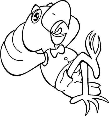 451x480 Cartoon Parrot Coloring Page Free Printable Coloring Pages