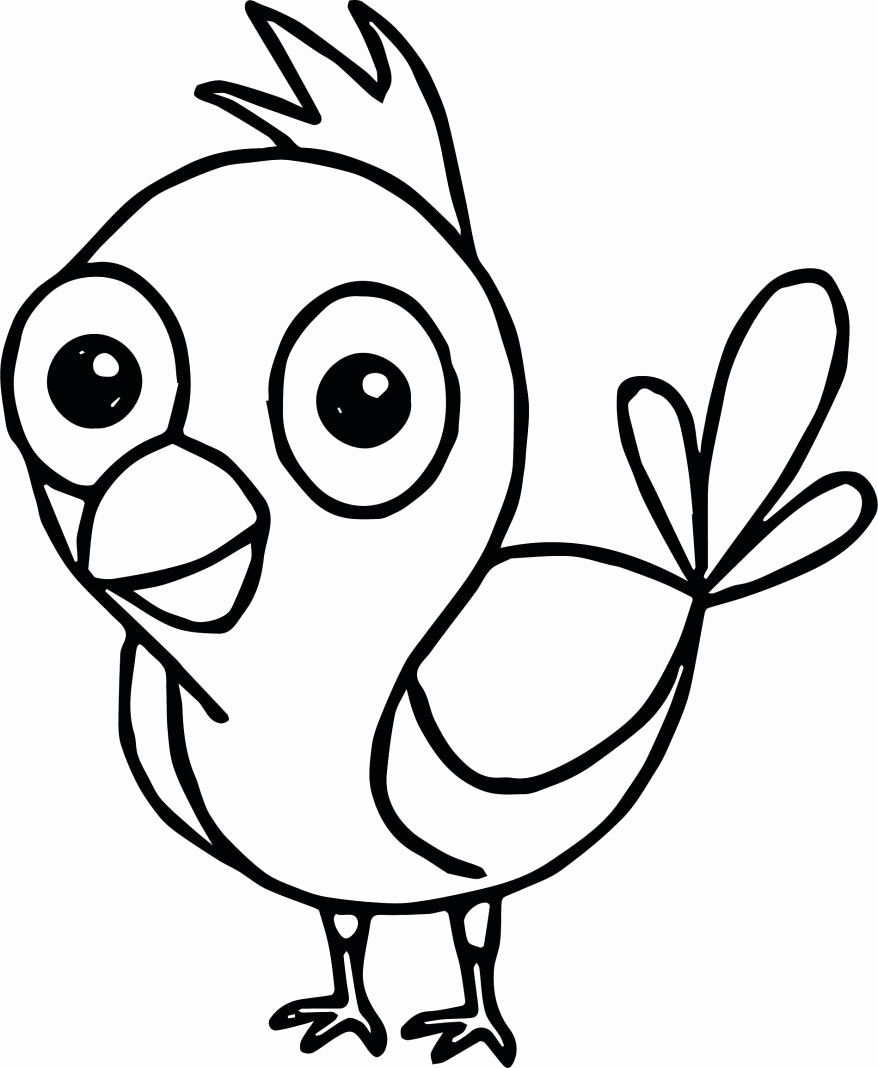 878x1068 50 Lovely Photos Of Parrot Coloring Pages