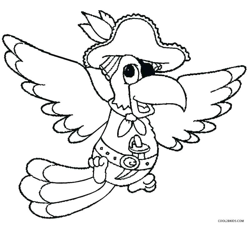 800x726 Elegant Parrot Coloring Pages Print Cartoon