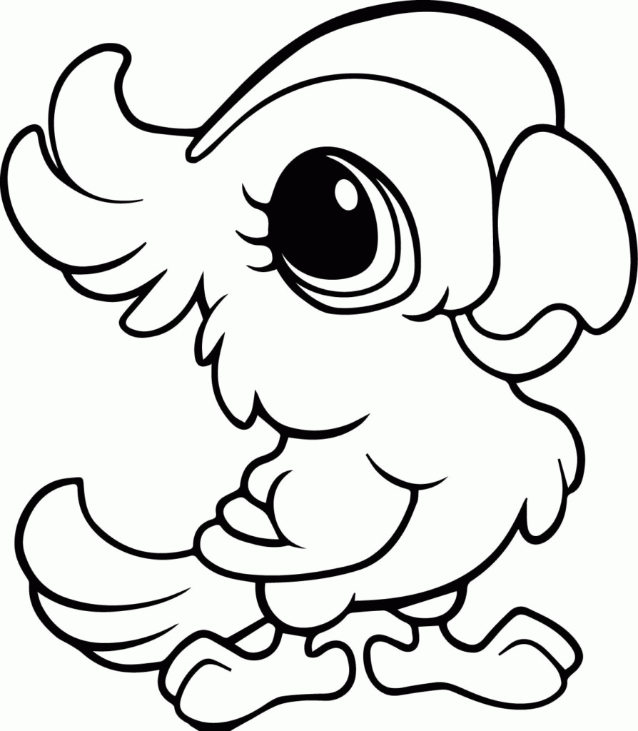 894x1024 Innovative Parrot Coloring Page 17