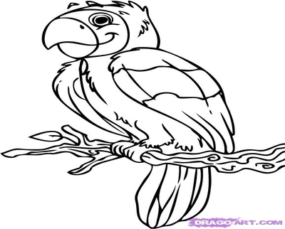400x322 Parrot Coloring Cartoon Page Image Clipart Images