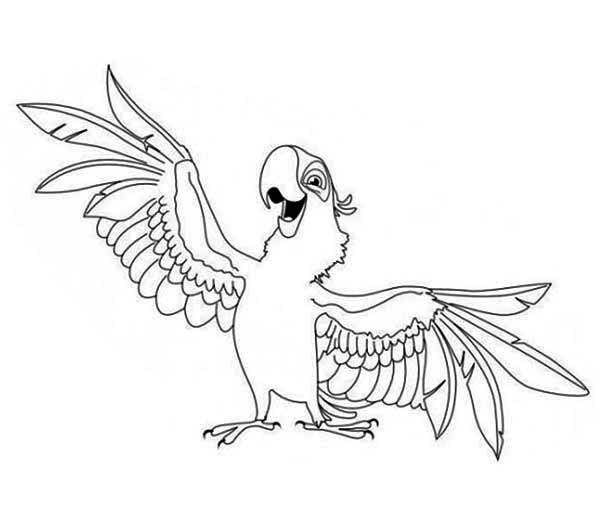 600x525 Aladeen Parrot Coloring Page