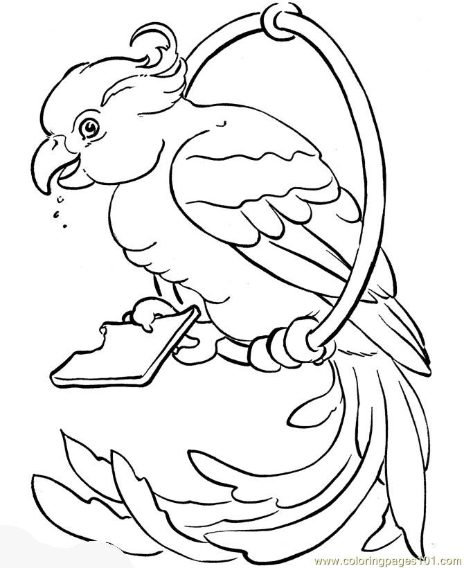 670x820 Parrot Coloring Page
