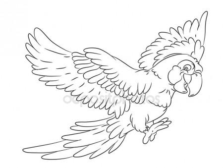 450x339 Happy Smiling Cartoon Parrot Coloring Page Stock Vector