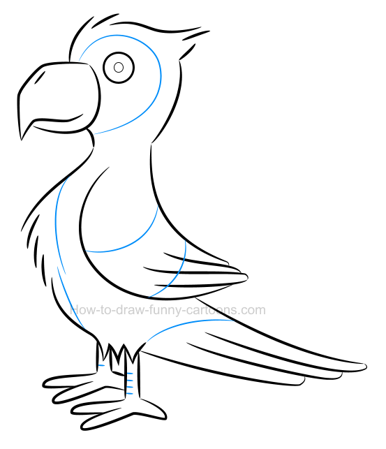 553x643 To Draw An Illustration Of A Parrot