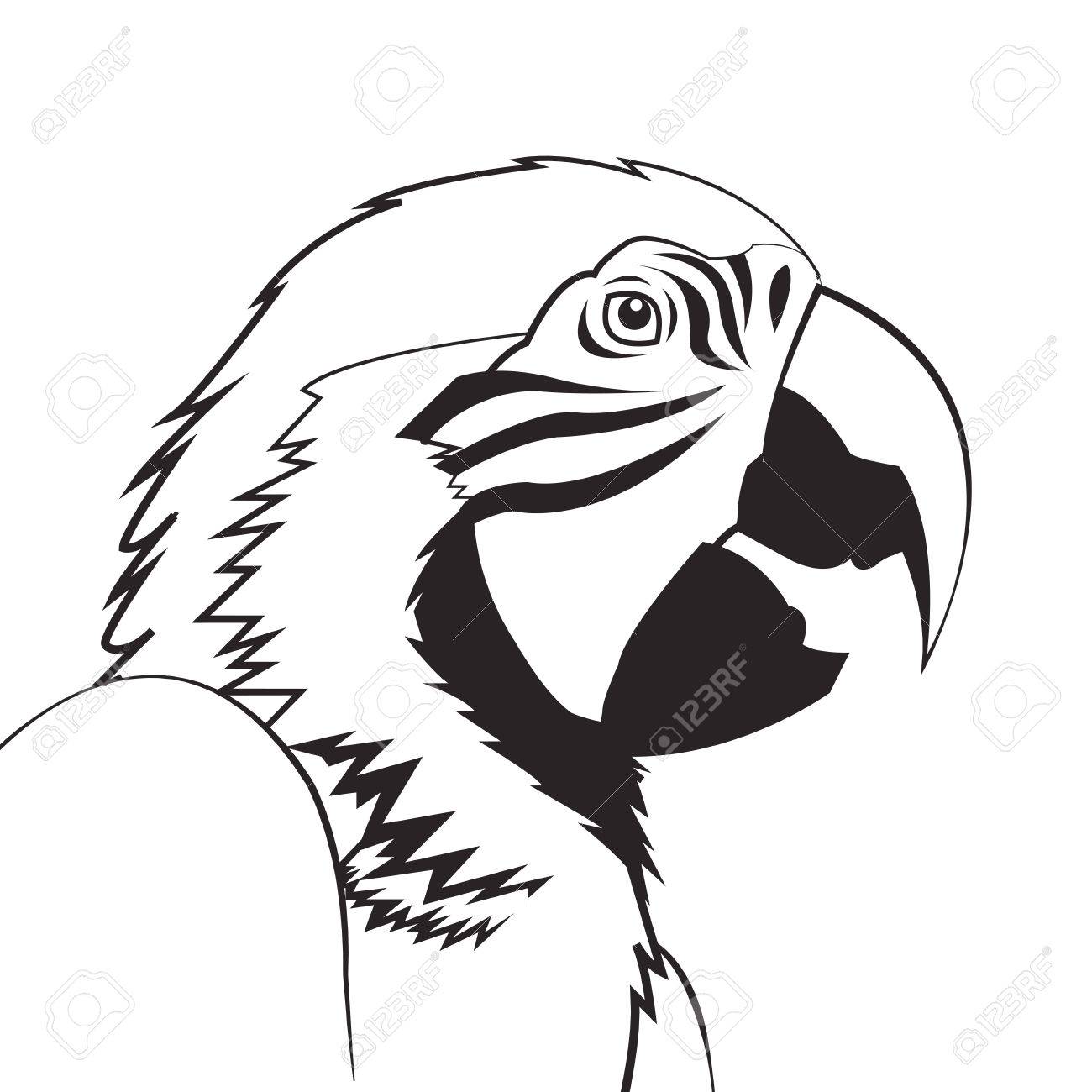 1300x1300 Flat Design Parrot Drawing Icon Vector Illustration Royalty Free