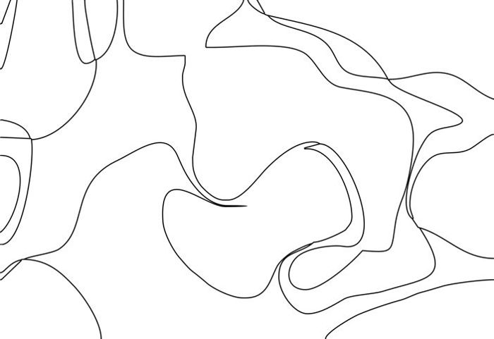 700x481 How To Paint A Parrot