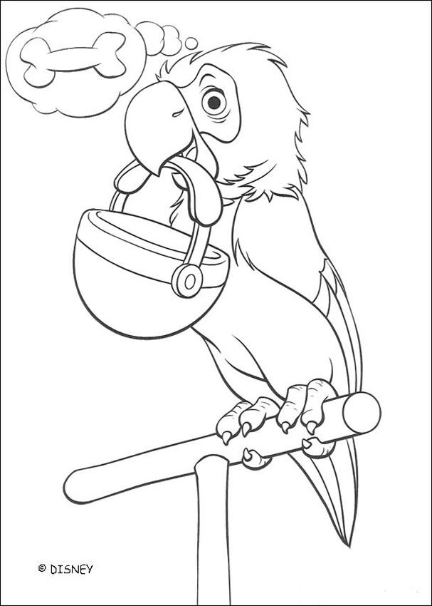 607x850 Parrot Coloring Pages, Drawing For Kids, Videos For Kids, Kids