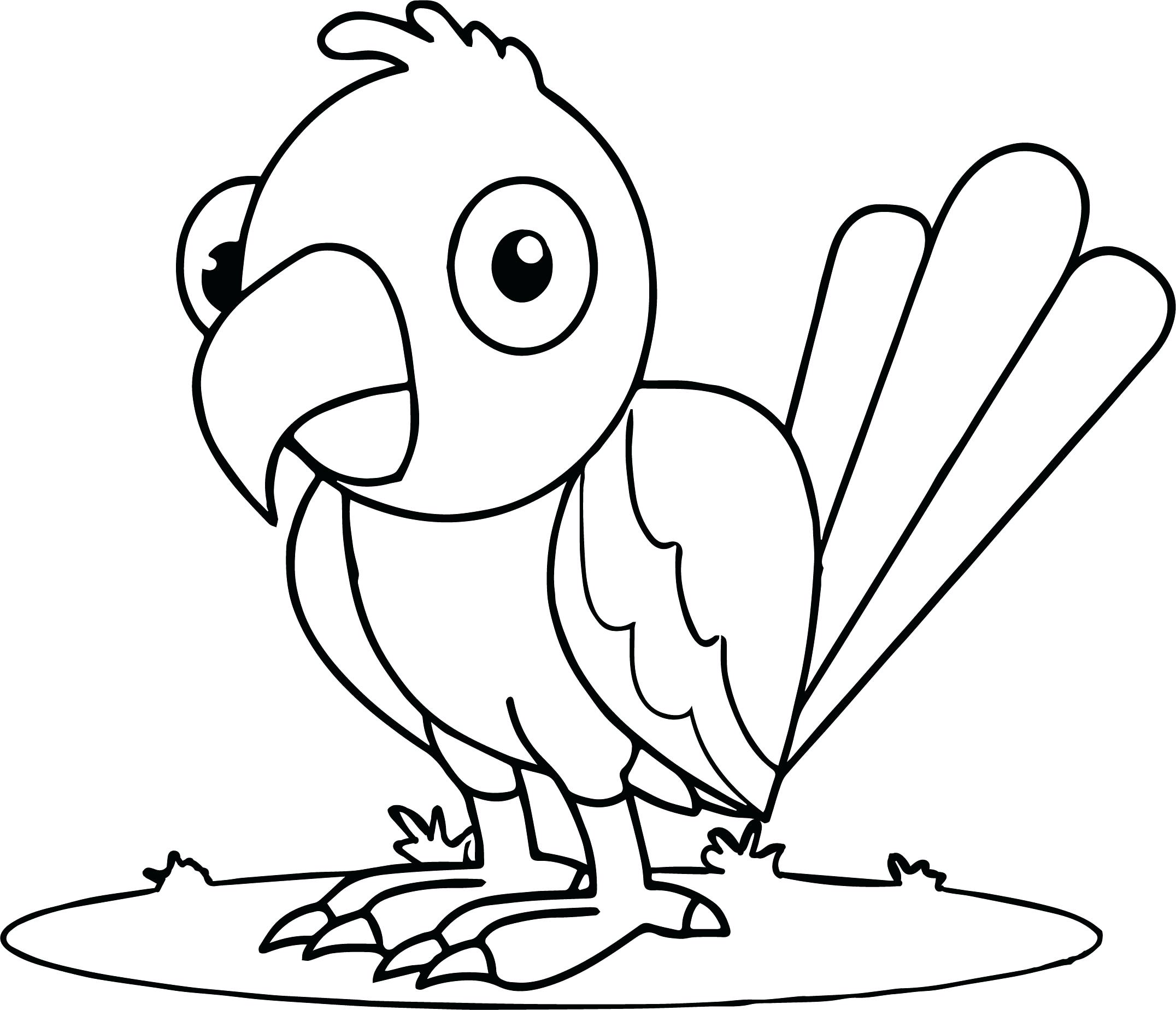 2152x1849 Coloring Coloring Pictures Of Parrots Drawings Parrot Drawing