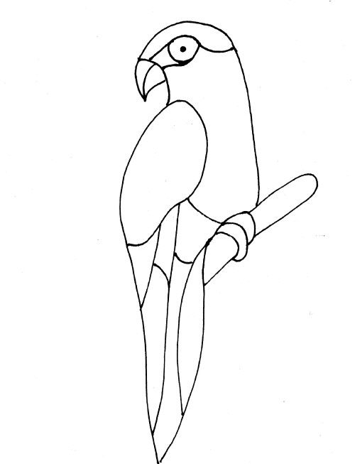 500x653 Parrot Template