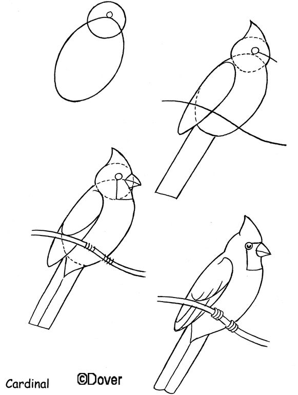 581x770 Dover Draw A Horse, Birds, Goat, Peacock, And Comics How To Draw
