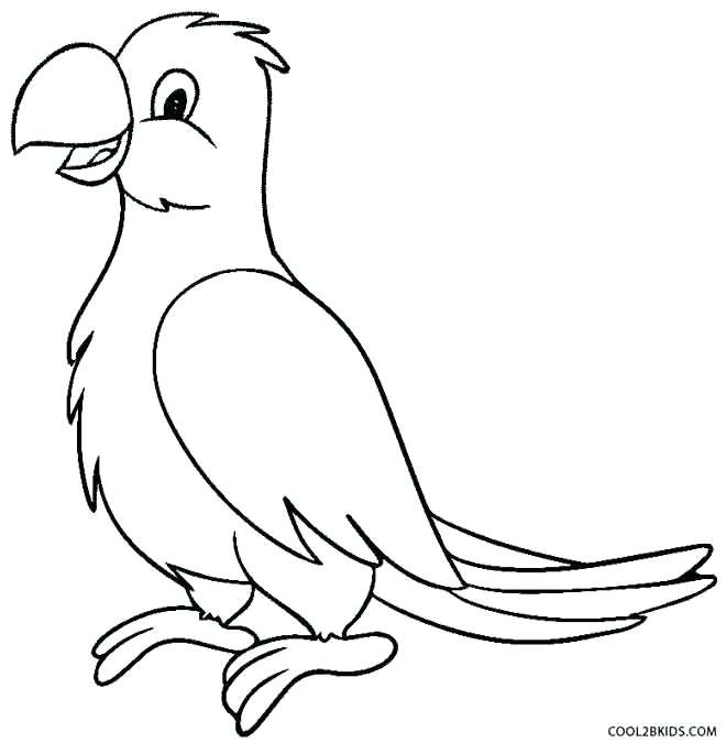 660x675 Parrot Coloring Sheet