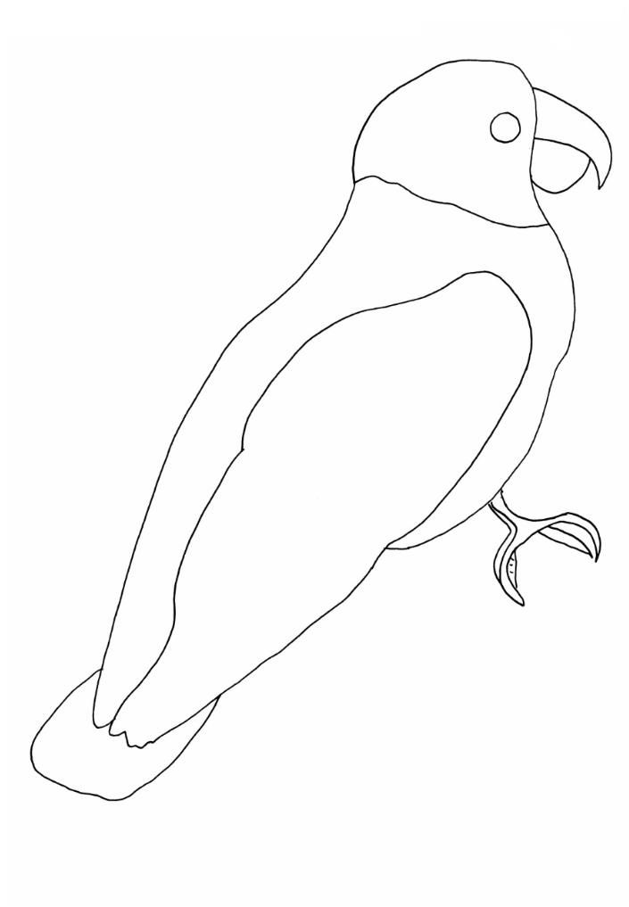 705x1017 Parrot Drawing With Cereals