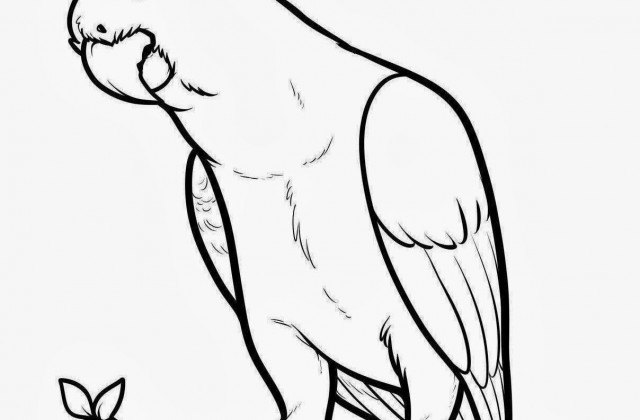 640x420 Tag For Draw Pictures Of Birds Bird Drawing By Eleihna