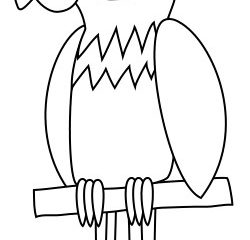 250x240 Cartoon Outline Drawings Drawing A Parrot Cartoon Pictures