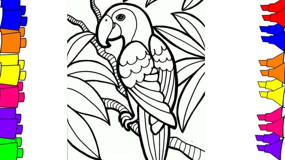 970x546 Coloring How To Draw Step By Bird Coloring Pages For Kids Parrot