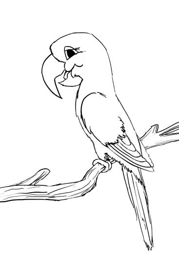 367x550 Choroy Parrot Sketch By Osmont2