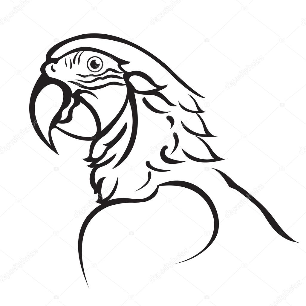 1024x1024 Line Art Of Parrot Stock Vector Hadkhanong1979