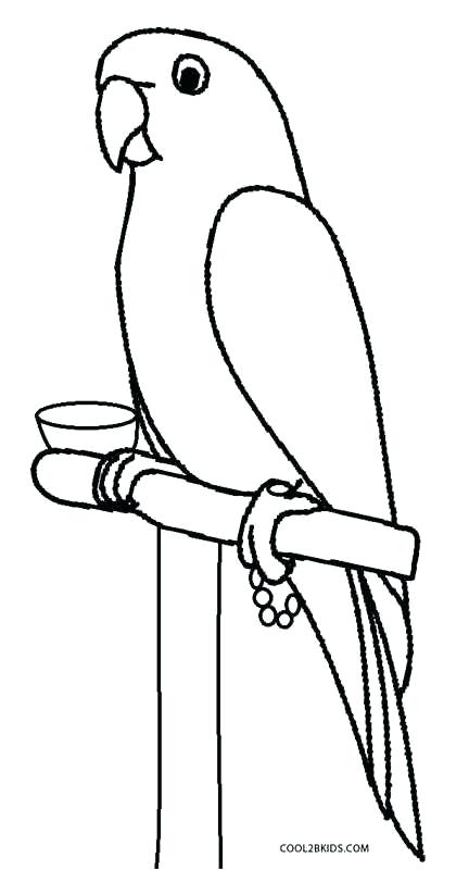 Free Printable Parrot Coloring Pages 8