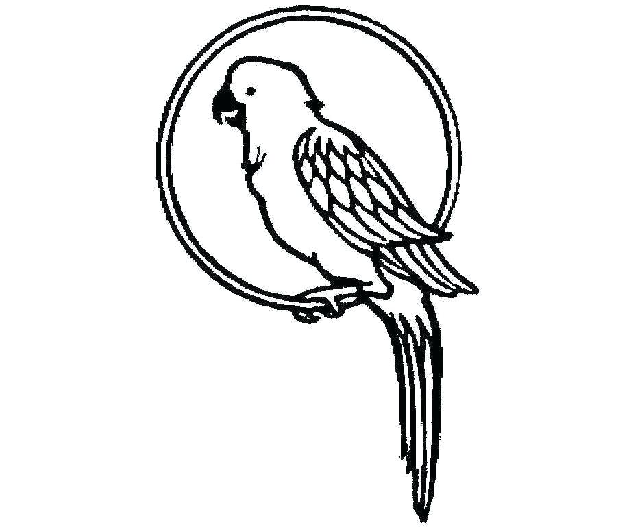 937x769 Parrot Picture To Color Colour Drawing Free Wallpaper Parrot