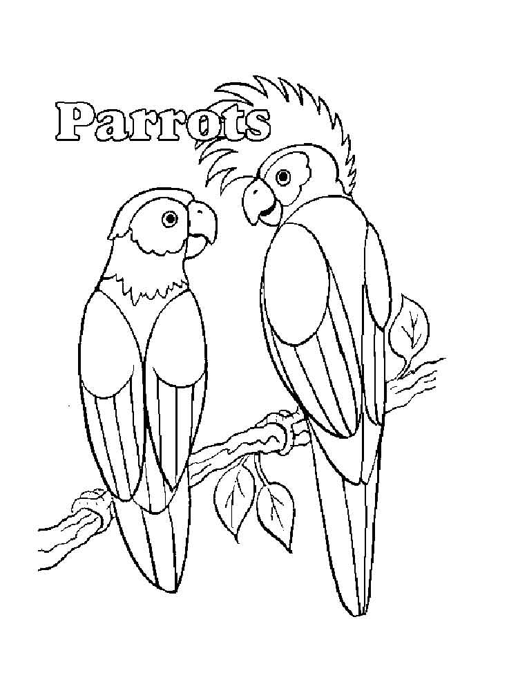 750x1000 Parrot Coloring Pages. Download And Print Parrot Coloring Pages