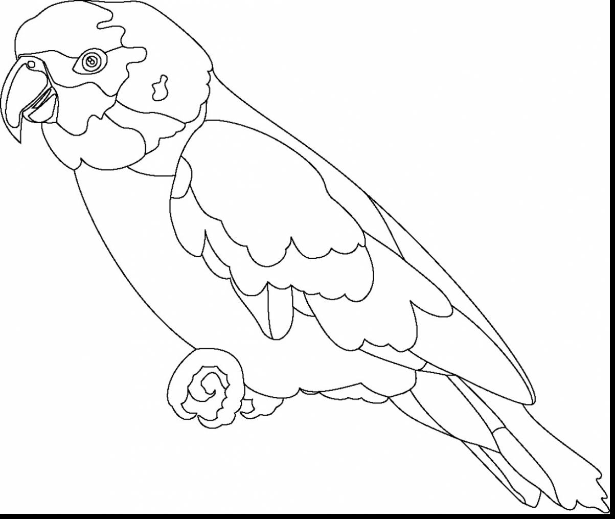 1203x1015 Fabulous Parrot Outline Coloring Page With Parrot Coloring Page