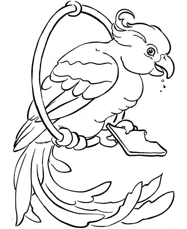 600x734 Beautiful Parrot Coloring Page