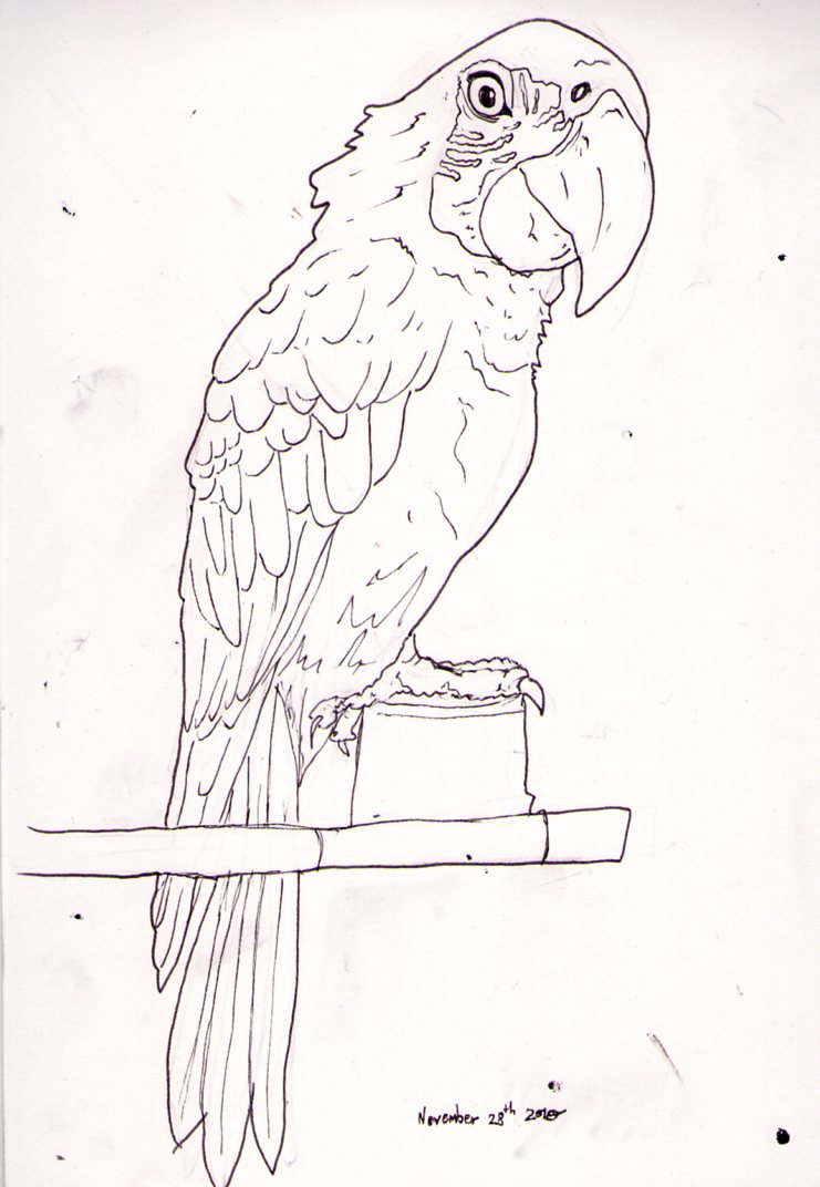 741x1072 Mercer Draws Things(What A Waste Of Gravity) November 2010