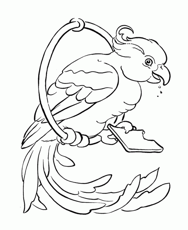 Parrot Drawing Outline at GetDrawings | Free download