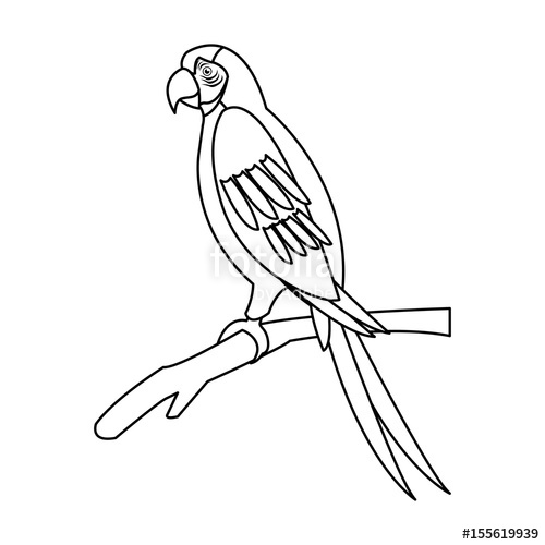 500x500 Macaw Parrot Branch Brazil Bird Wildlife Outline Vector