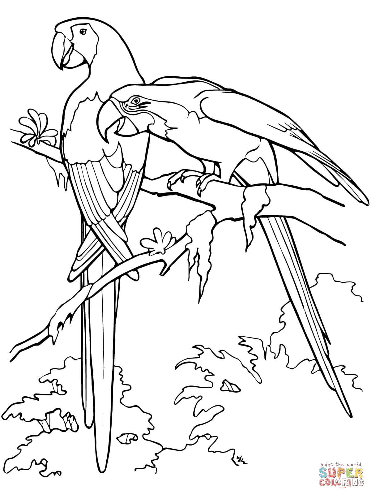 1200x1600 Parrots Coloring Pages Free Coloring Pages