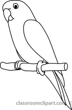 236x358 Peachy Parrot Outline Cute Drawings 20 Free Pdf Jpg Format