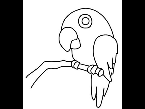 480x360 How To Draw A Parrot