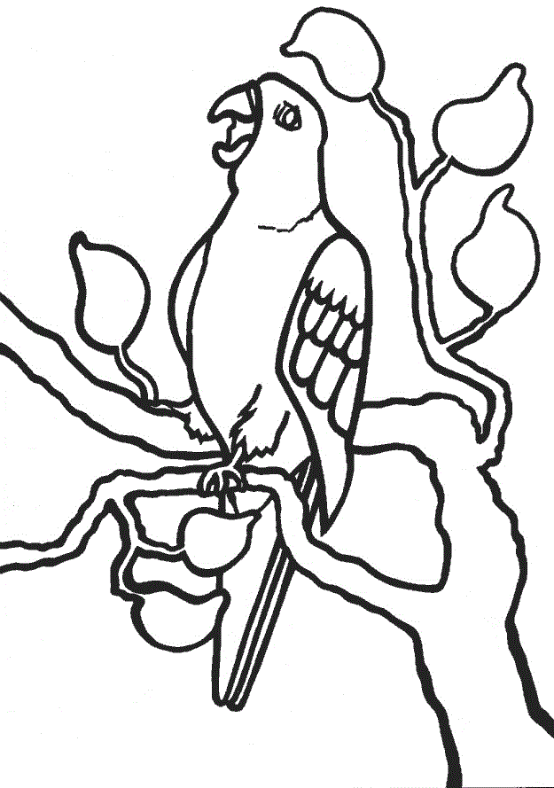 625x889 Free Printable Parrot Coloring Pages For Kids