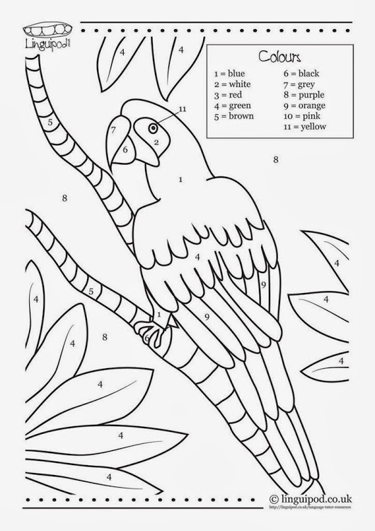 Parrot Drawing With Colour at GetDrawings | Free download