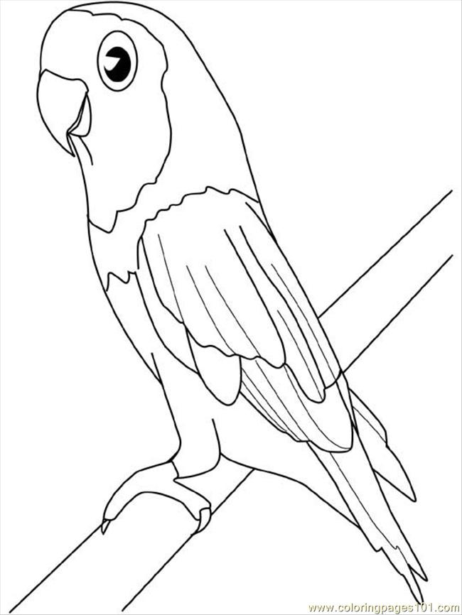 650x866 Parrot Coloring Pages