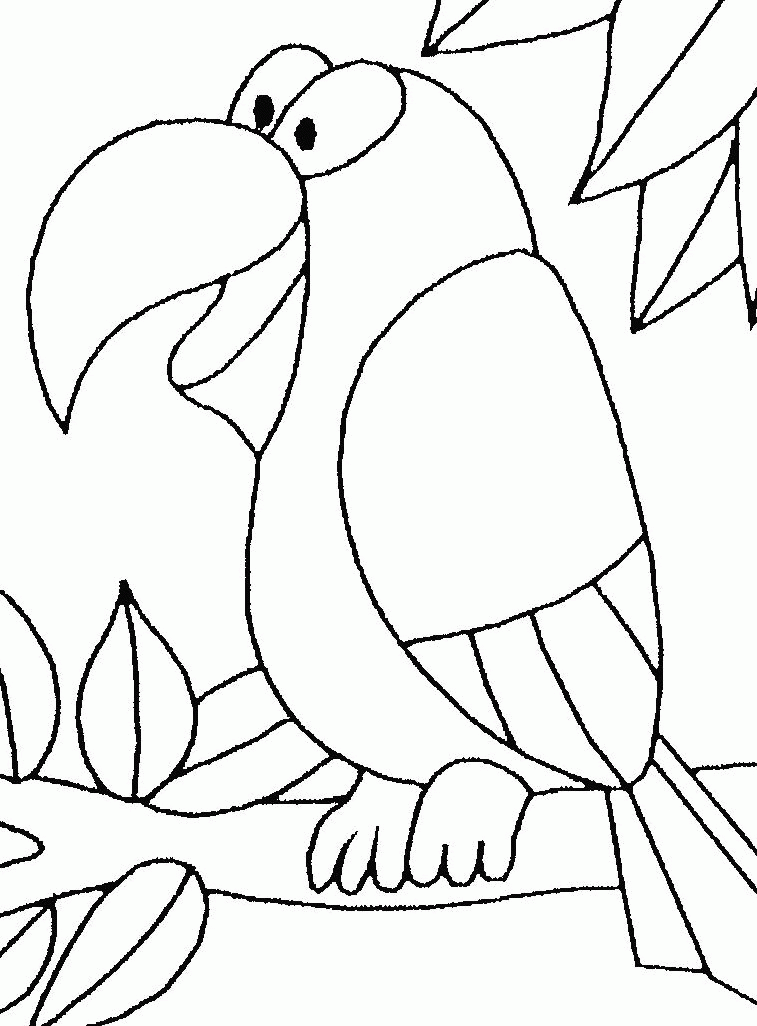 757x1026 Parrot Coloring Pictures 385470