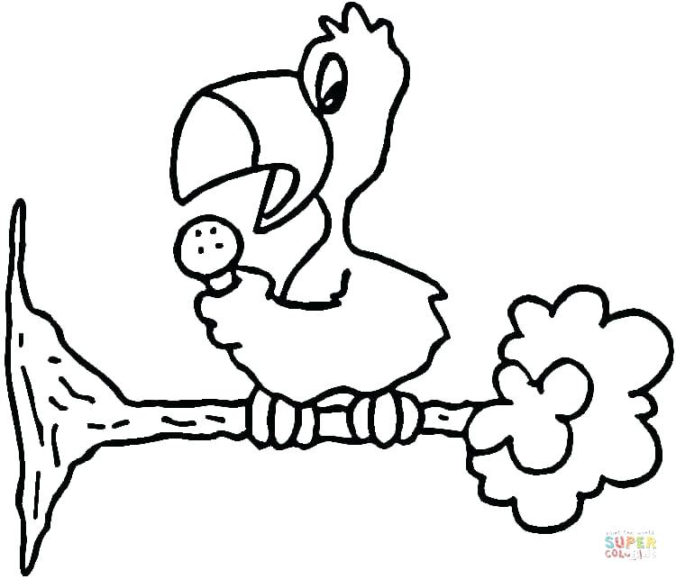 750x643 Parrot Picture To Color Colour Drawing Free Wallpaper Parrot