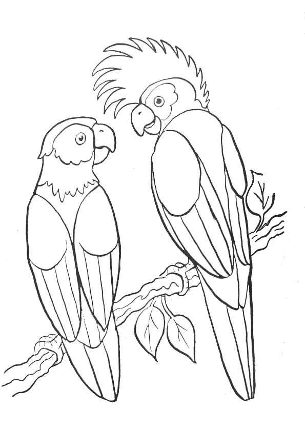 595x841 Pictures To Colour