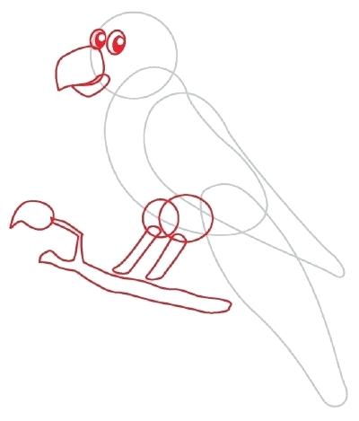 400x469 Parrot Drawing Transasia
