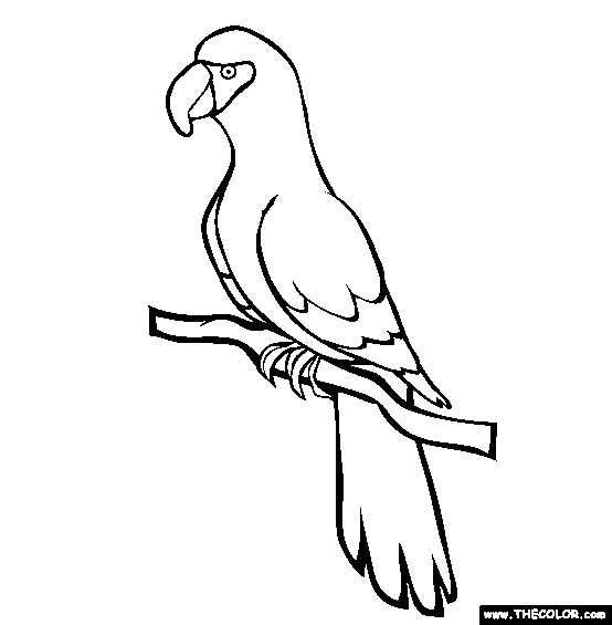 554x565 Bird Online Coloring Pages Page 1