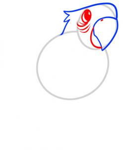 248x302 How To Draw How To Draw A Parrot For Kids