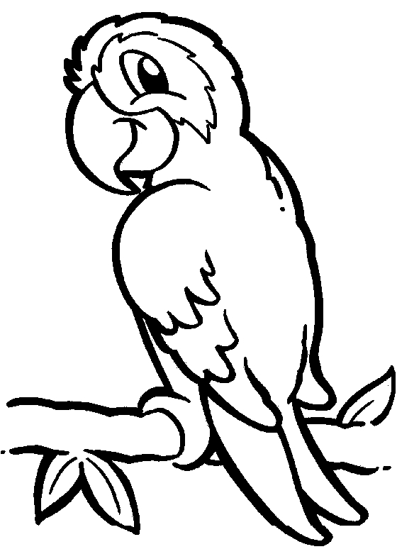 560x781 Marvellous Parrot Coloring Page 55 On Coloring Books With Parrot