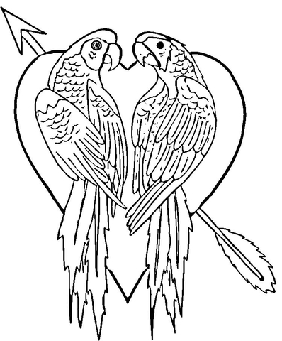 398x480 Parrots In Love Coloring Page Free Printable Coloring Pages