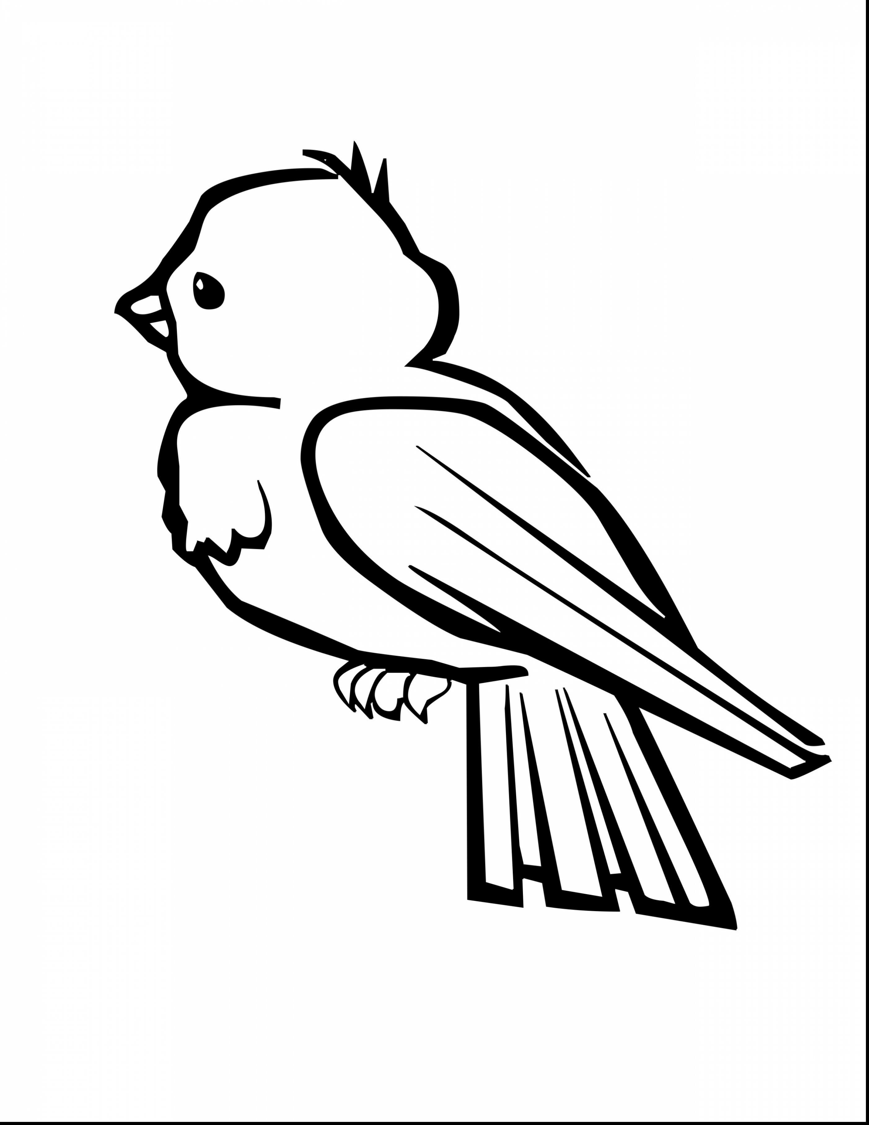 2805x3630 Simple Bird Coloring Page Simple Colorings